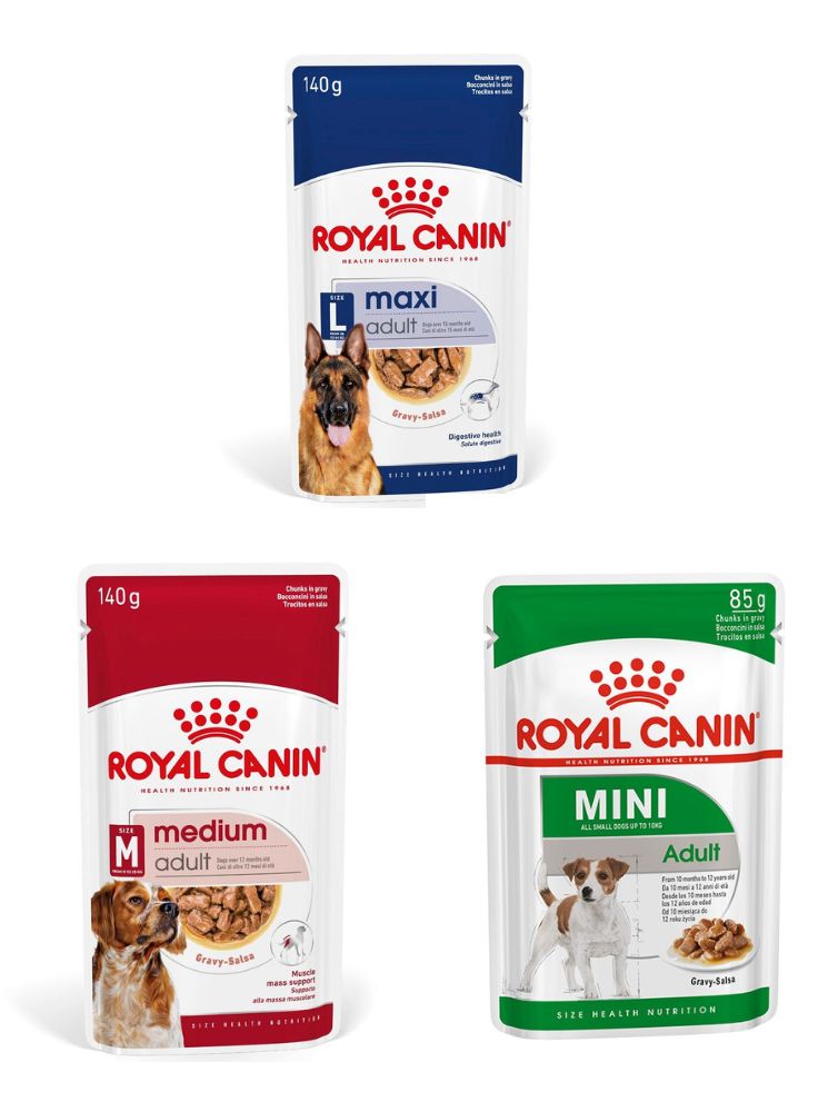 Adult buste cane Royal Canin